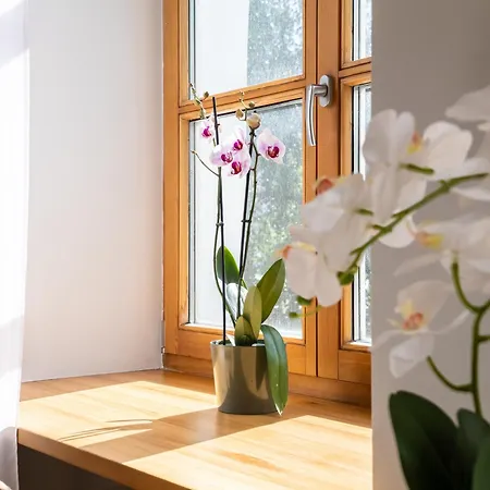 Guest Favorite Old Town Perfect Location * ריגה