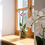 Guest Favorite Old Town Perfect Location * Riga