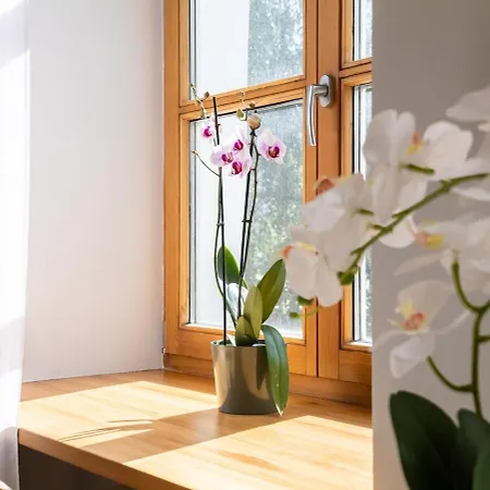 Guest Favorite Old Town Perfect Location Riga