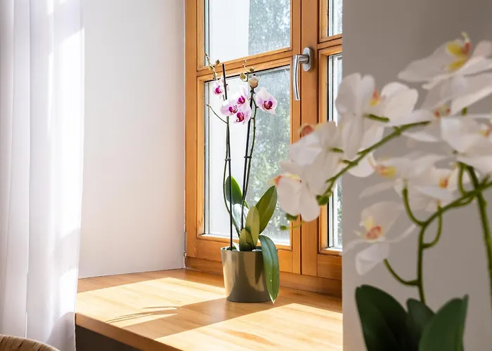 Guest Favorite Old Town Perfect Location * Рига